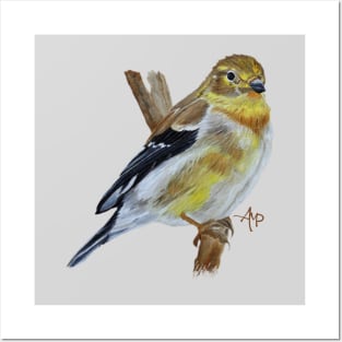 American Goldfinch Posters and Art